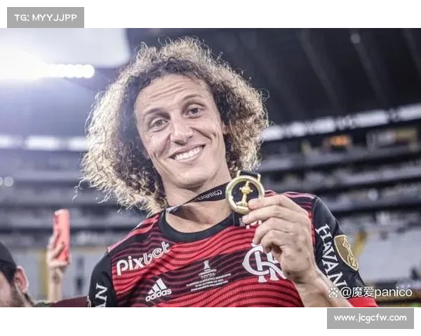 大卫路易斯未被选入队伍的原因及其背后的深层次分析